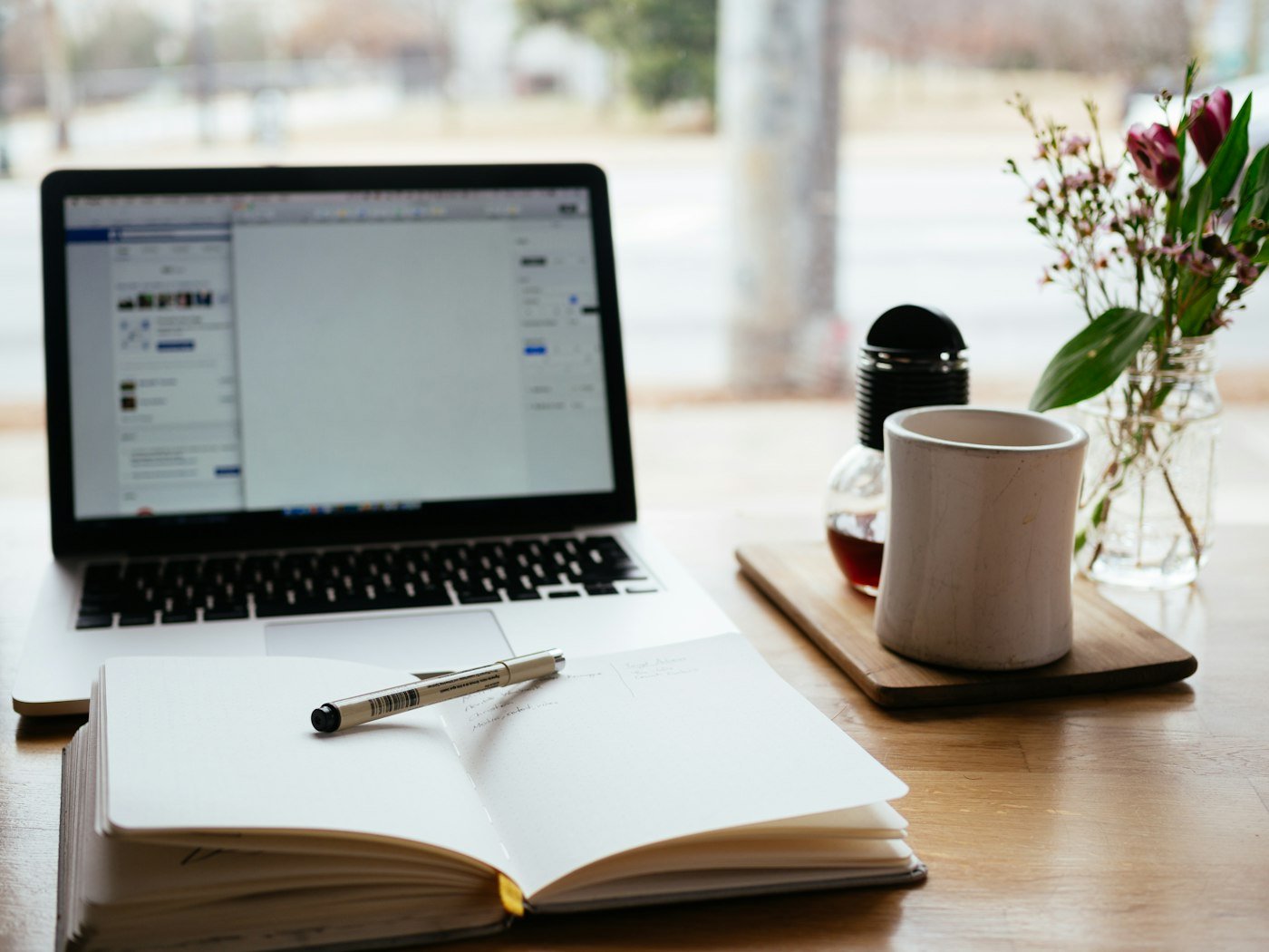 Plataformas de cursos